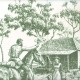 The Drover’s Welcome Wallpaper
